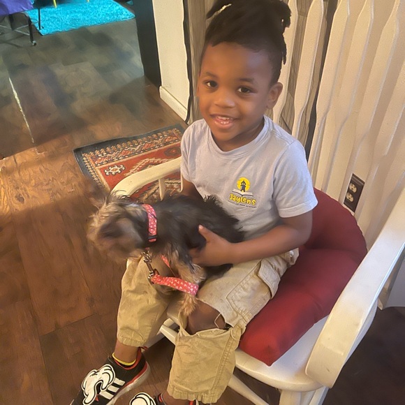 Meet your Posher, Phaedra - Picture 4 of 13